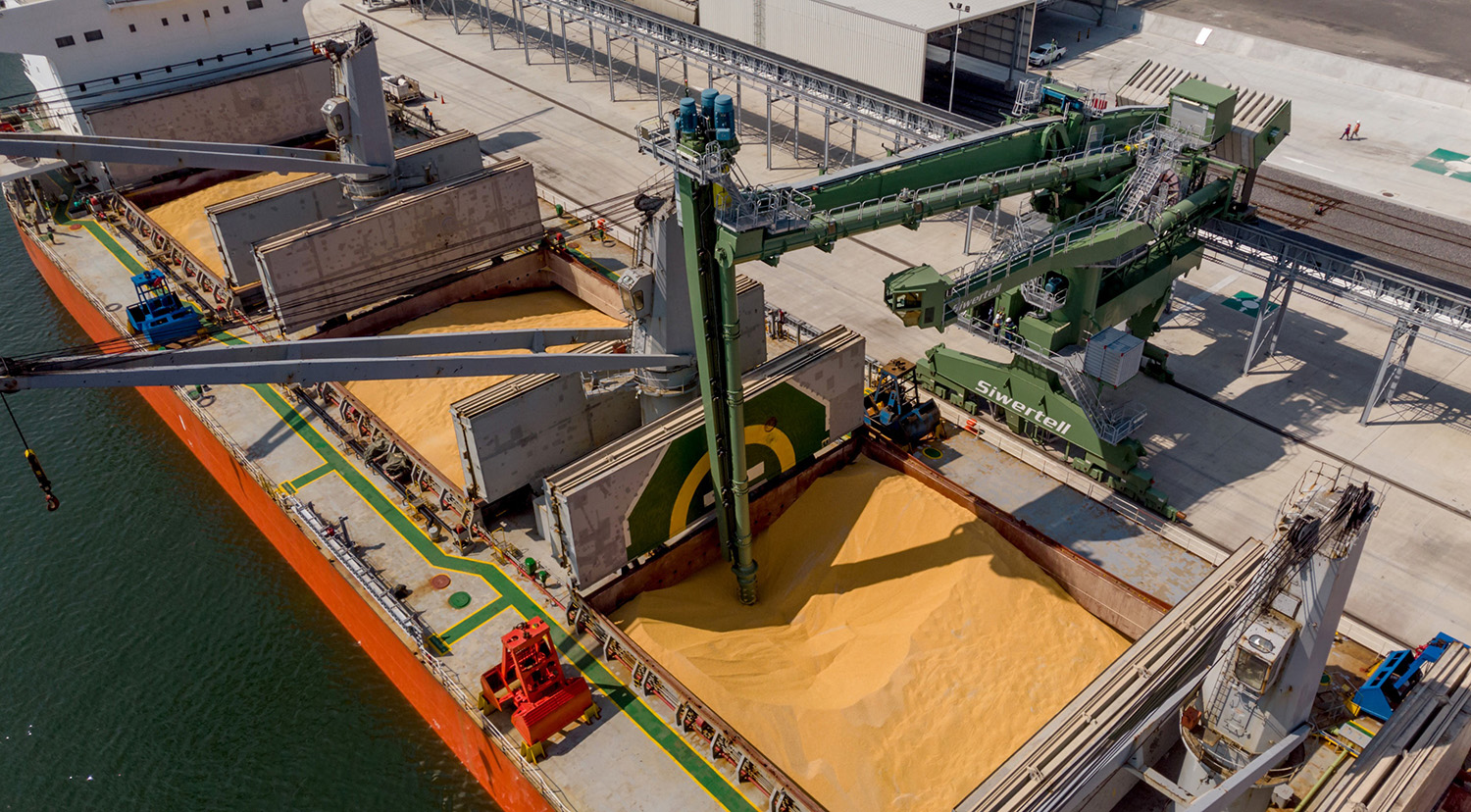 International Feed Commodities: Yellow Corn, Soybean Meal, Feed Wheat, Barley